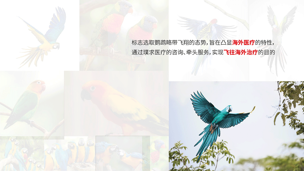 醫(yī)療咨詢品牌形象設(shè)計(jì)-璞求醫(yī)療LOGO升級