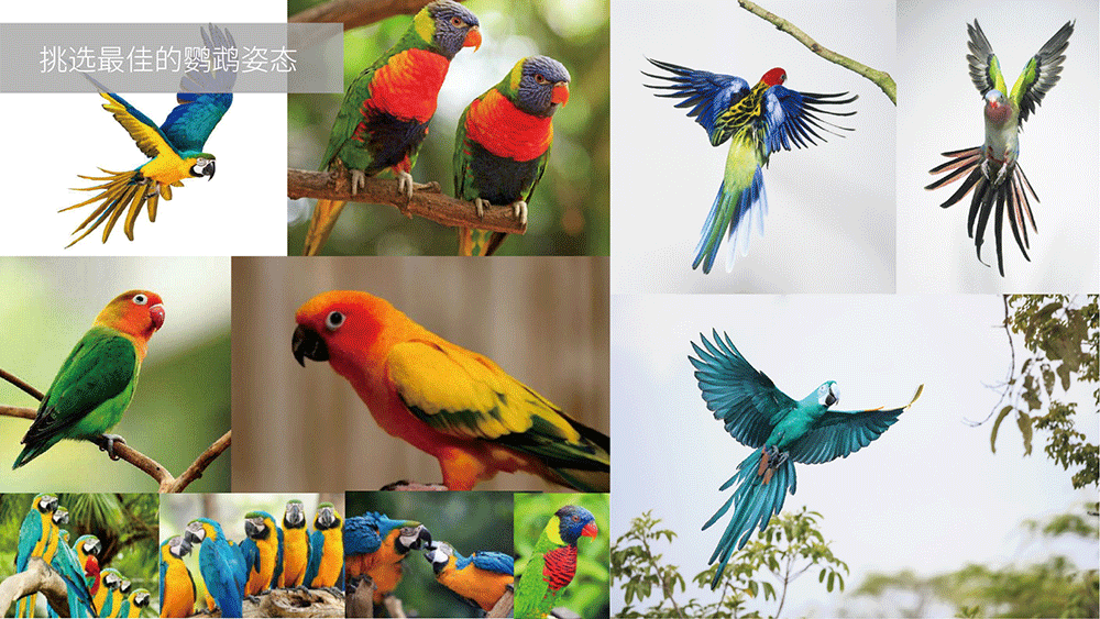 醫(yī)療咨詢品牌形象設(shè)計(jì)-璞求醫(yī)療LOGO升級